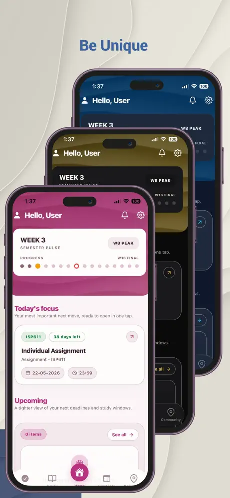 Three Rencana theme variations: navy, gold and pink